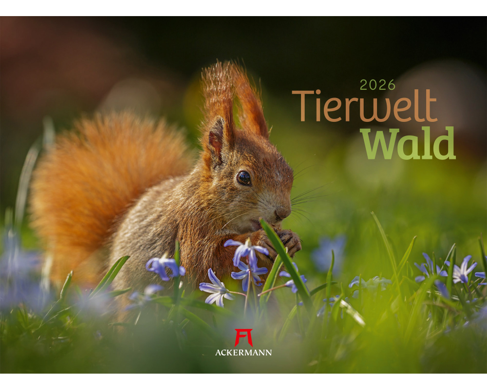 ACKERMANN Bildkalender 2026 2682 Tierwelt Wald D 45x33cm