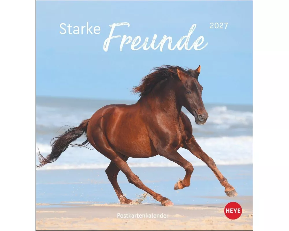 Pferde Postkartenkalender 2027 - Starke Freunde