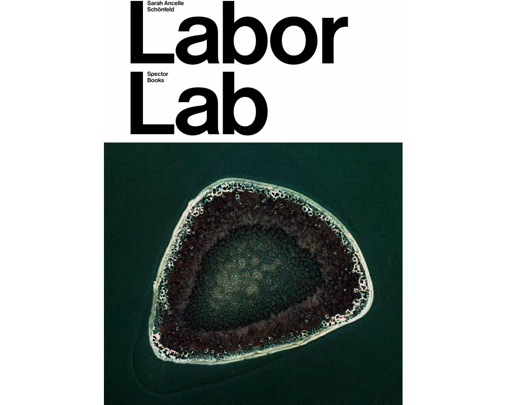 Sarah Ancelle Schönfeld: Labor Lab