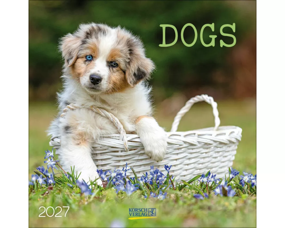 Dogs 2027