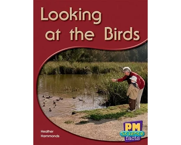 Looking at the Birds