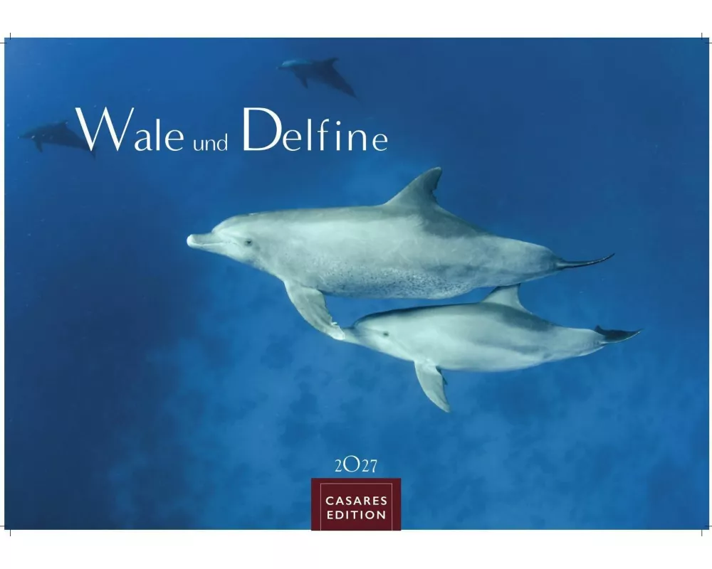 Wale und Delfine Kalender 2027 - Wandkalender | Fotokalender Tierkalender 35x50cm Grosses Format - Hochwertige Fotografien von Walen und Delfinen, die