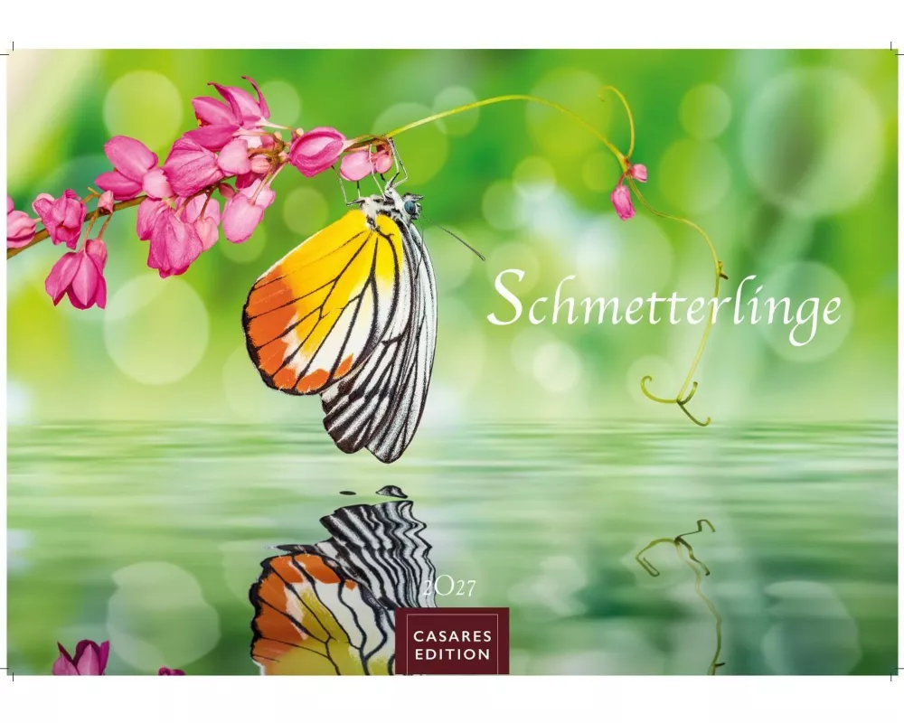 Schmetterlinge Kalender 2027 - Wandkalender | Fotokalender Tierkalender 35x50cm Grosses Format - Mit wunderschönen, detailreichen Bildern von Schmette