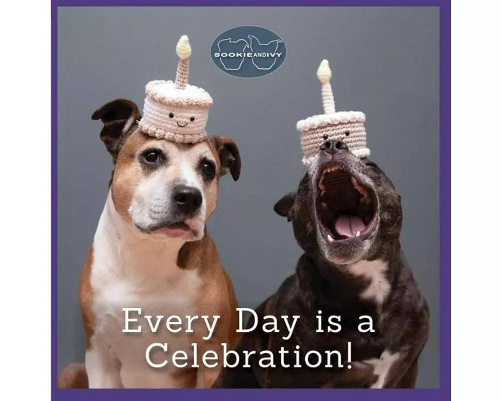 Sookie and Ivy Every Day Is a Celebration