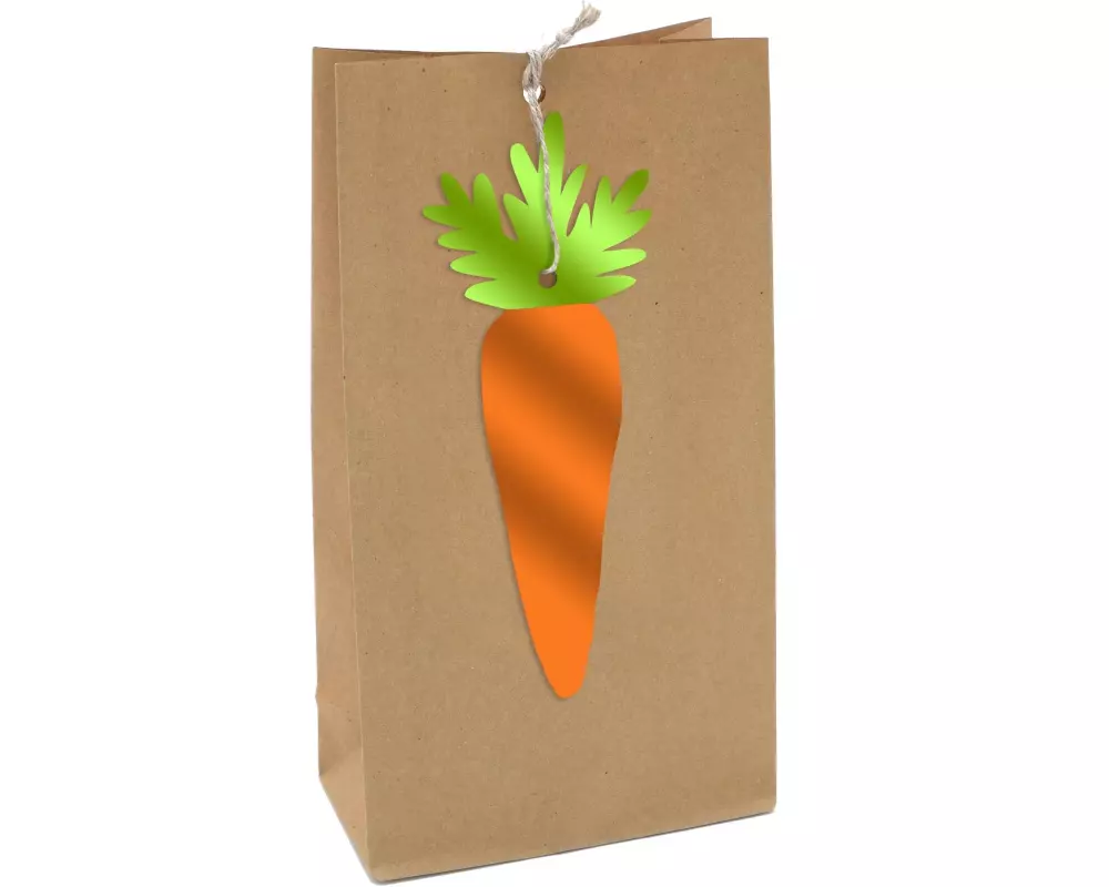 Braun + Company Geschenktasche Ostern 2 Stück, 12 x 21 x 6 cm, Braun/Orange