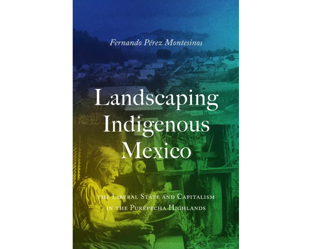 Landscaping Indigenous Mexico