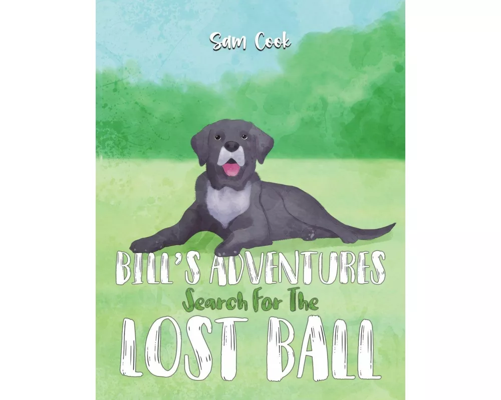Bill’s Adventures: Search for the Lost Ball