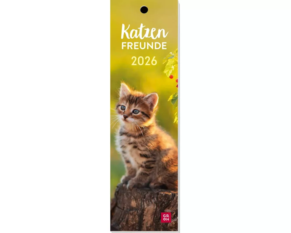 Lesezeichenkalender 2026: Katzenfreunde