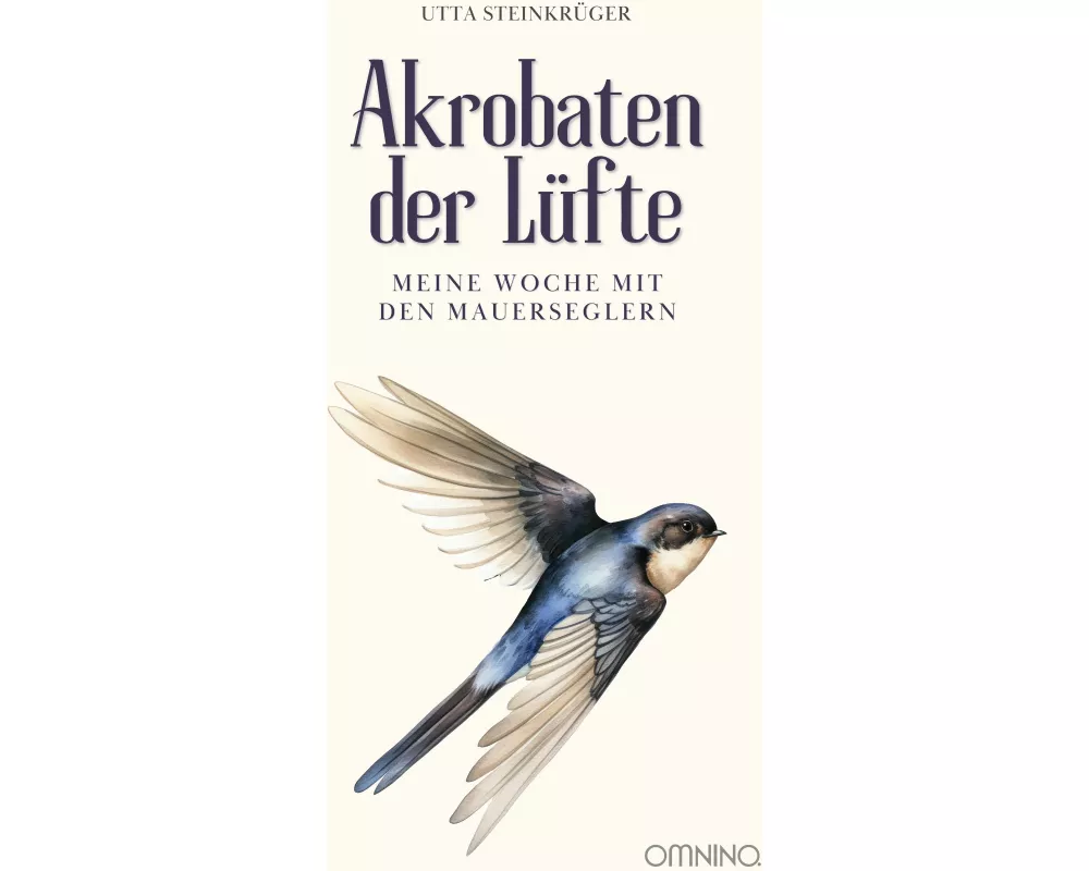 Akrobaten der Lüfte - Meine Woche mit den Mauerseglern