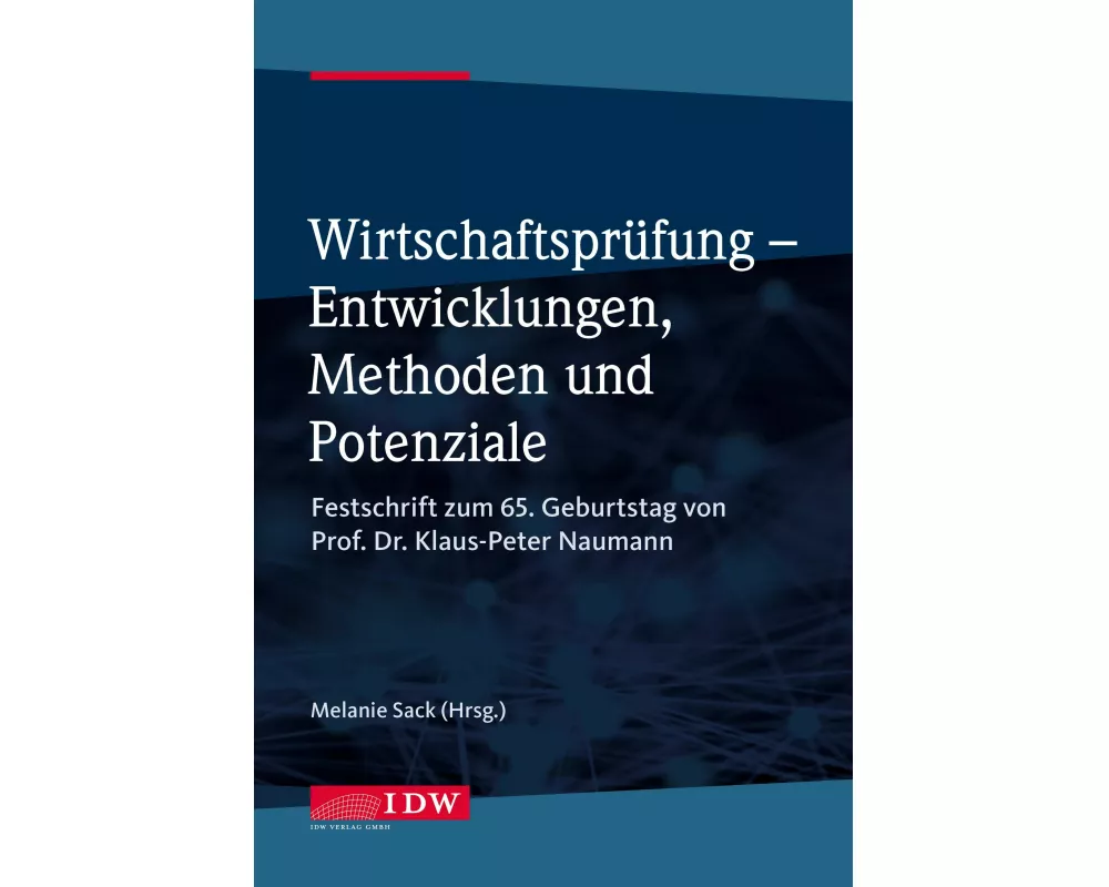 Wirtschaftsprüfung - Entwicklungen, Methoden und Potenziale