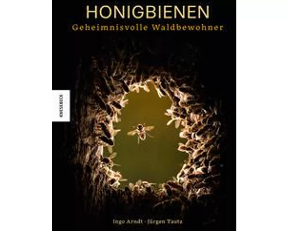 Honigbienen - Geheimnisvolle Waldbewohner