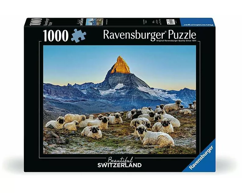 Meet the Sheep Zermatt