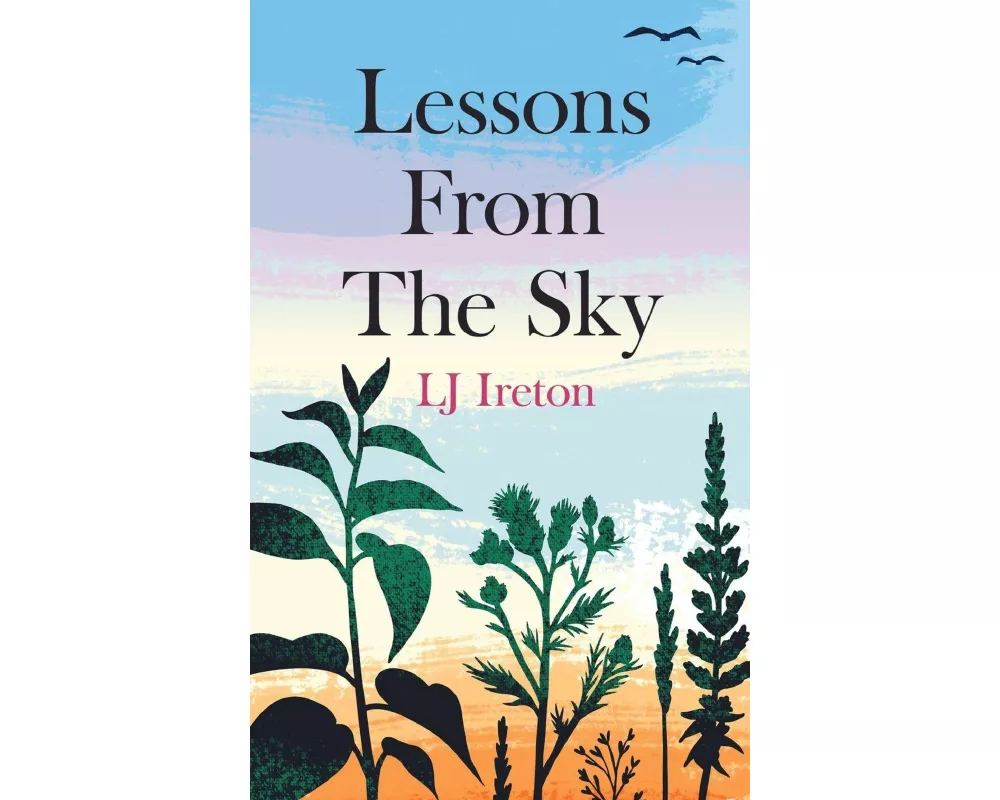 Lessons From The Sky
