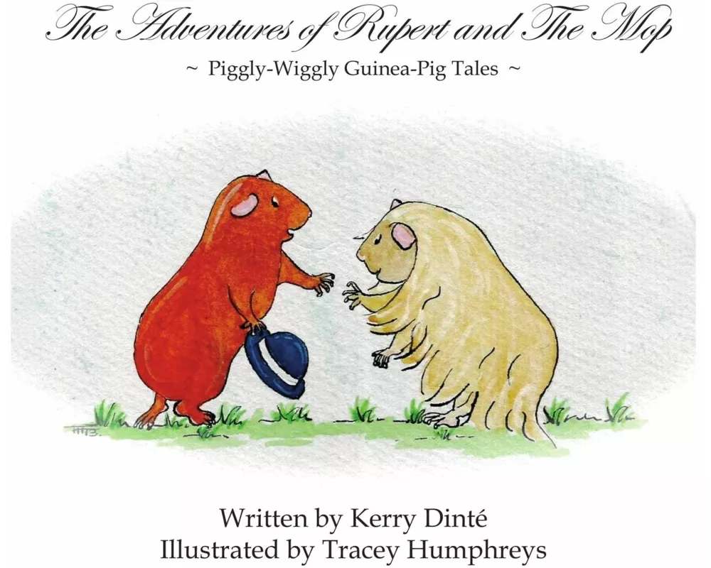 The Adventures of Rupert and The Mop