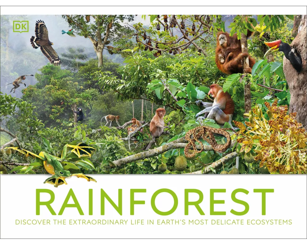 Rainforest