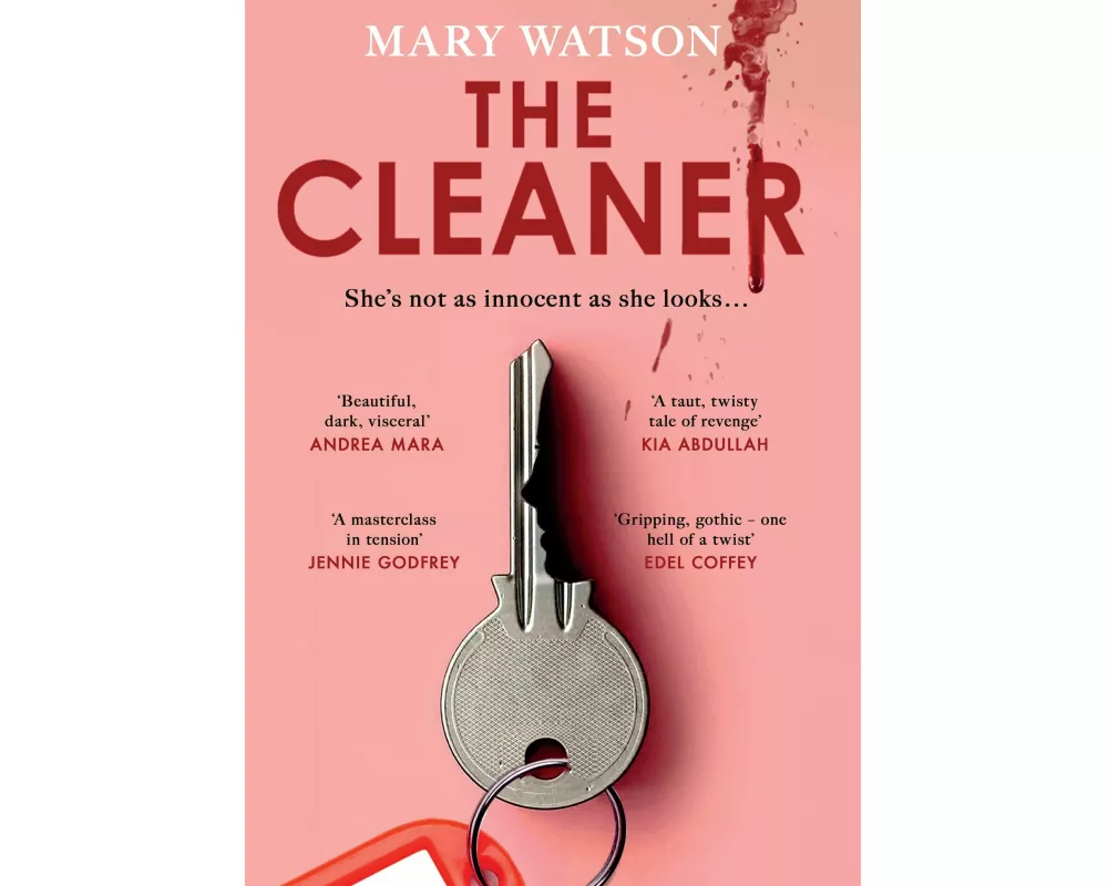 The Cleaner