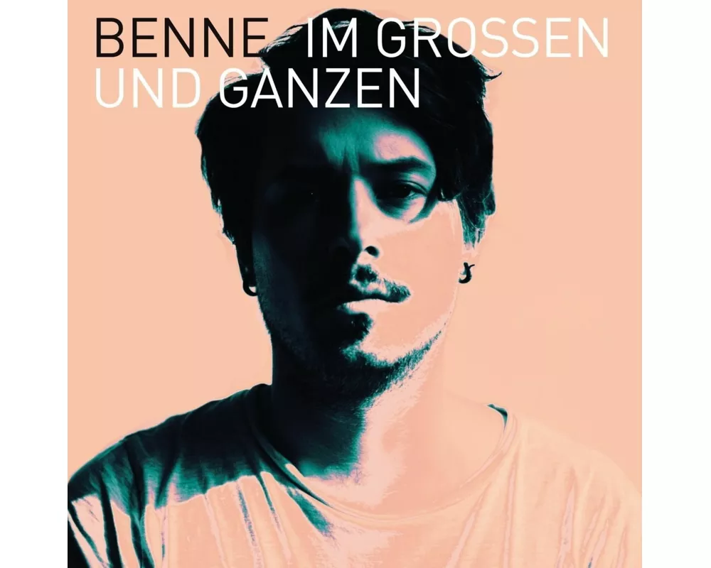 Im Großen Und Ganzen