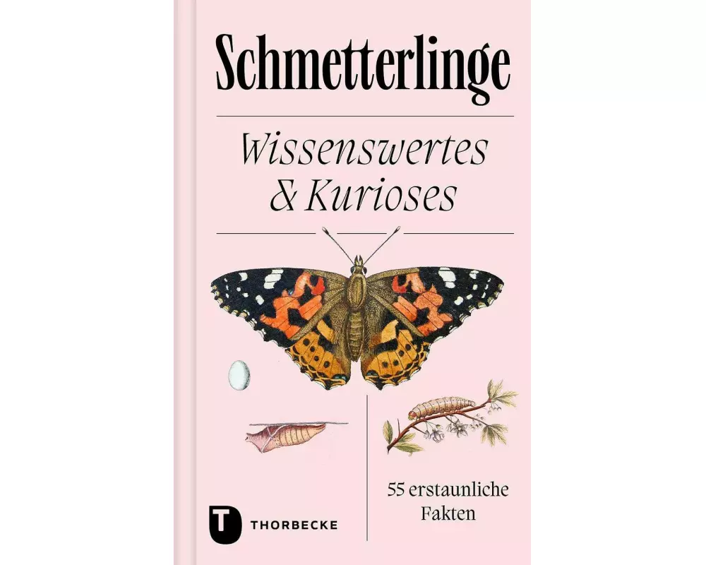 Schmetterlinge