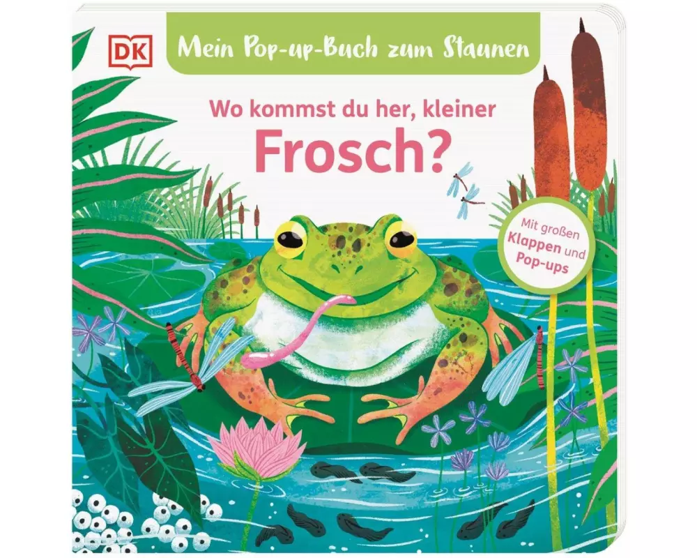 Mein Pop-up-Buch zum Staunen. Wo kommst du her, kleiner Frosch?