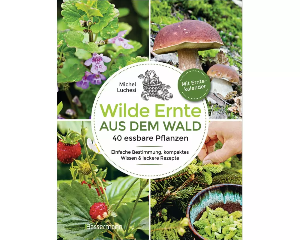 Wilde Ernte aus dem Wald - 40 essbare Pflanzen - einfache Bestimmung, kompaktes Wissen und leckere Rezepte