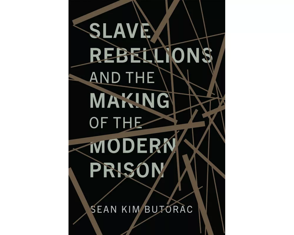Slave Rebellions and the Making of the Modern Prison