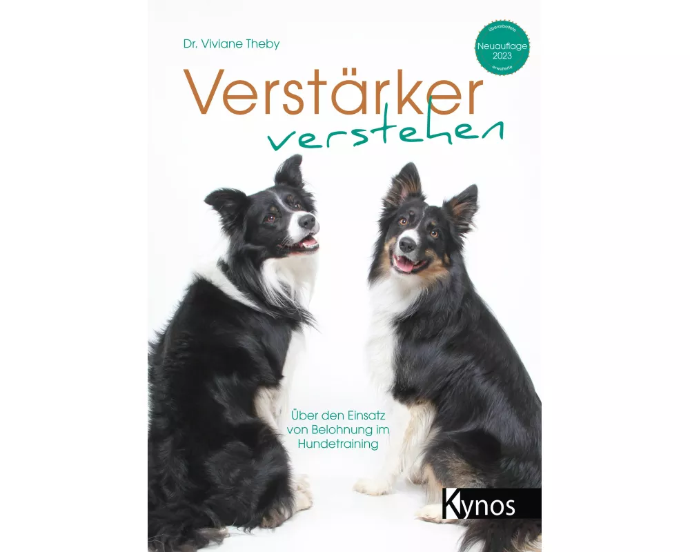 Verstärker verstehen