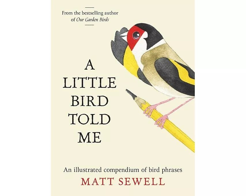 A Little Bird Told Me