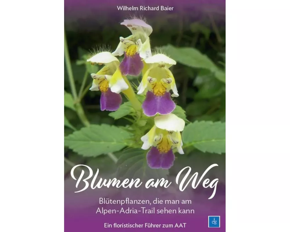 Blumen am Weg