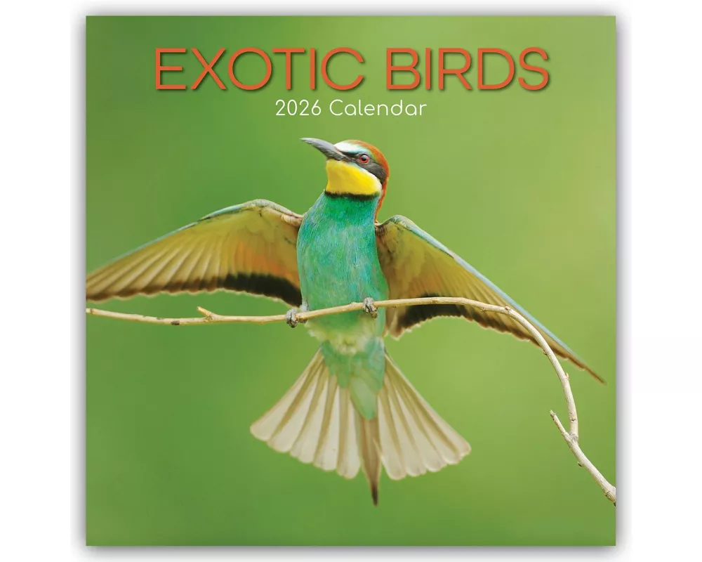 Exotic Birds - Exotische Vögel 2026 - 16-Monatskalender