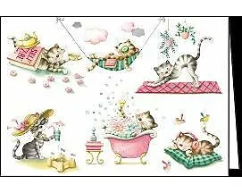 Doppelkarte / Katzen / blanko / quer