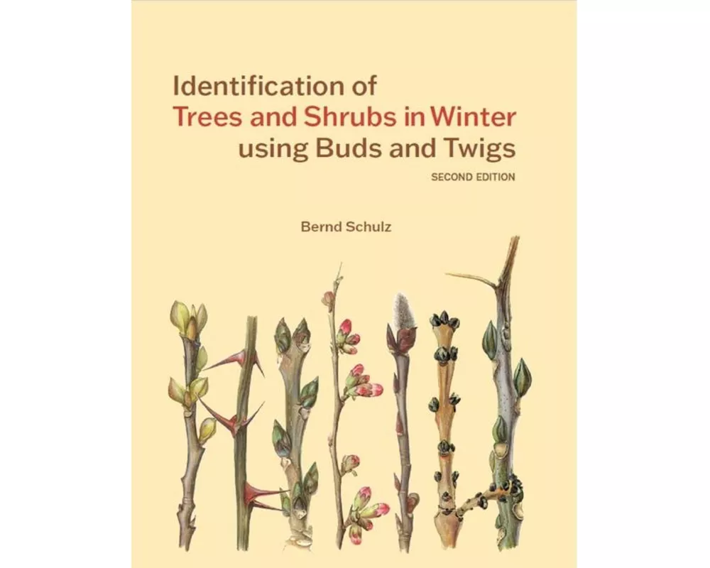 Identification of Trees and Shrubs in Winter using Buds and Twigs
