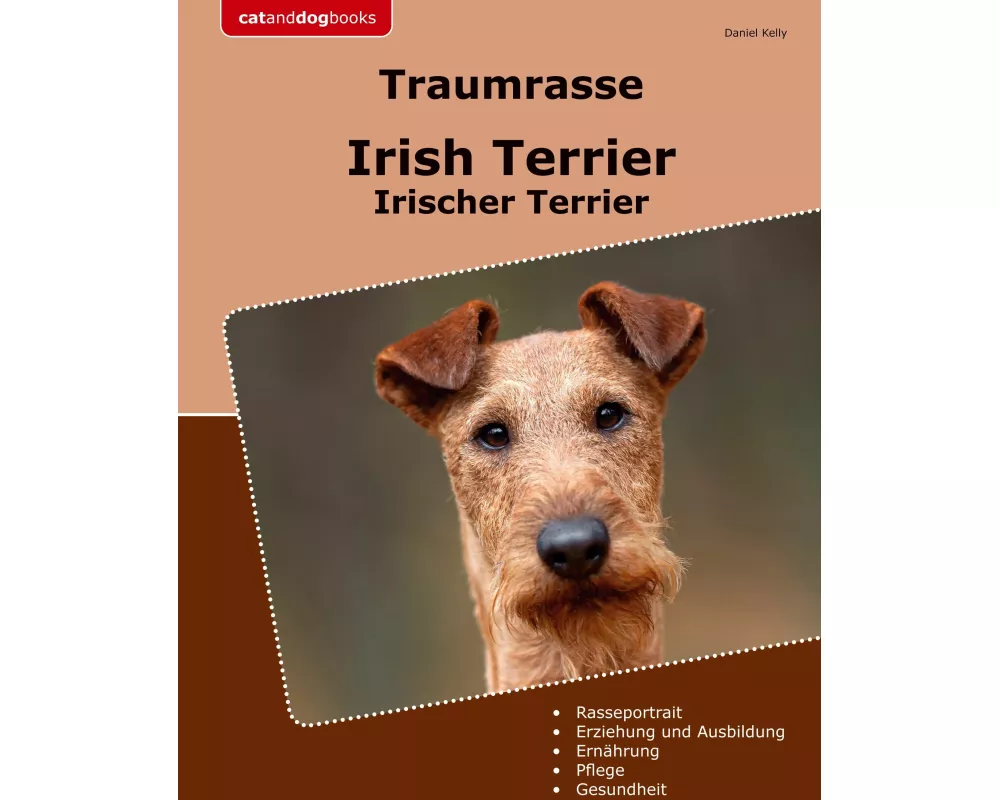 Traumrasse Irish Terrier