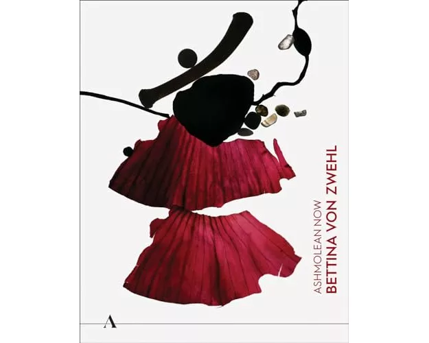 Ashmolean NOW: Bettina von Zwehl