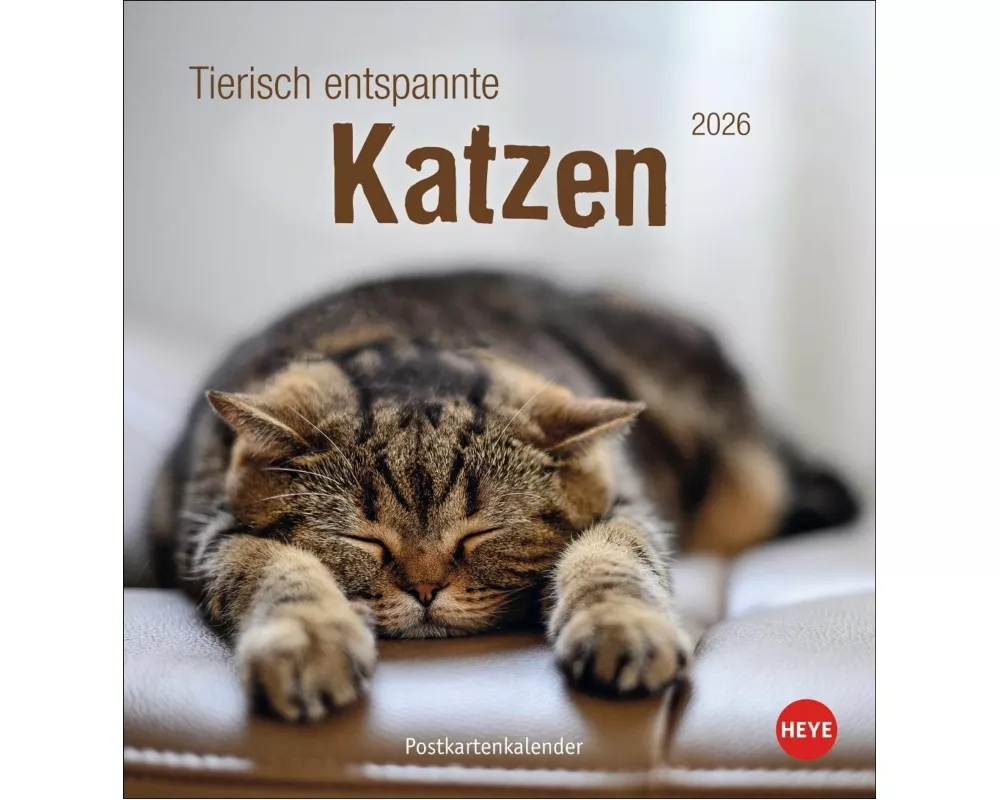 Tierisch entspannte Katzen Postkartenkalender 2026