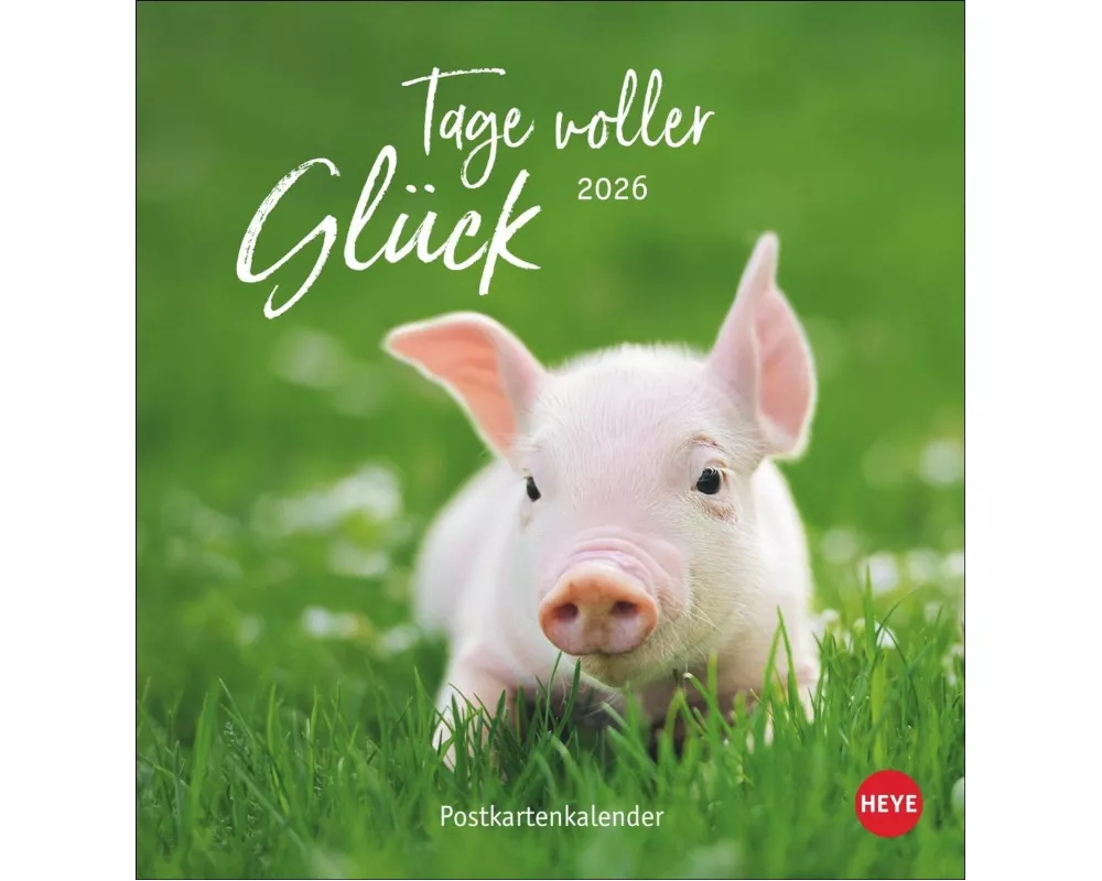 Tage voller Glück Postkartenkalender 2026