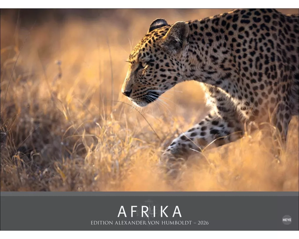 Afrika - Edition Alexander von Humboldt Kalender 2026