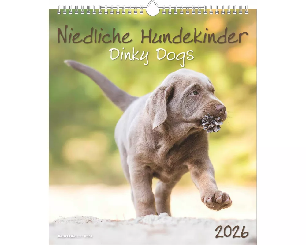 Alpha Edition - Niedliche Hundekinder Kalender 2026 – Wandkalender 30×34 cm mit 12 Welpenmotiven & 4-sprachigem Kalendarium, Tierkalender mit Spiralbi