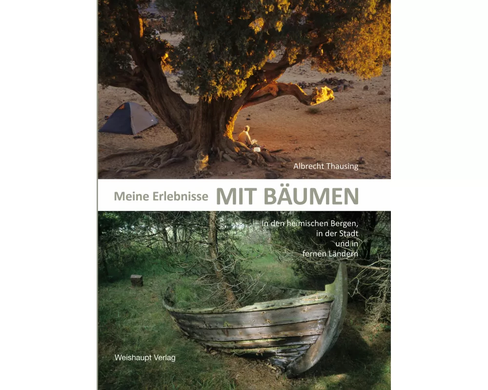 Meine Erlebnisse mit Bäumen