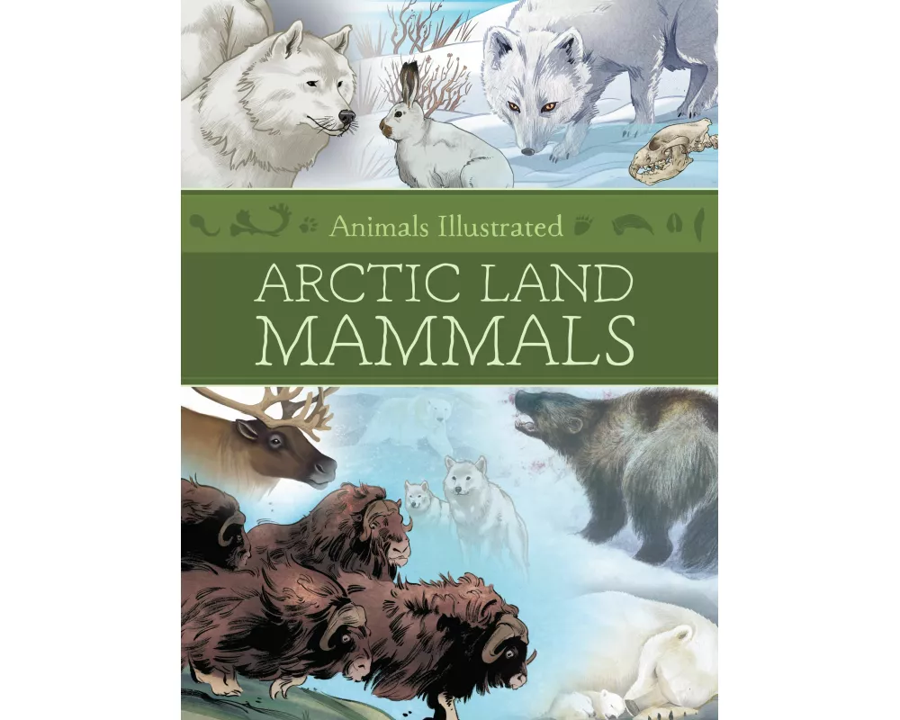 Animals Illustrated: Arctic Land Mammals