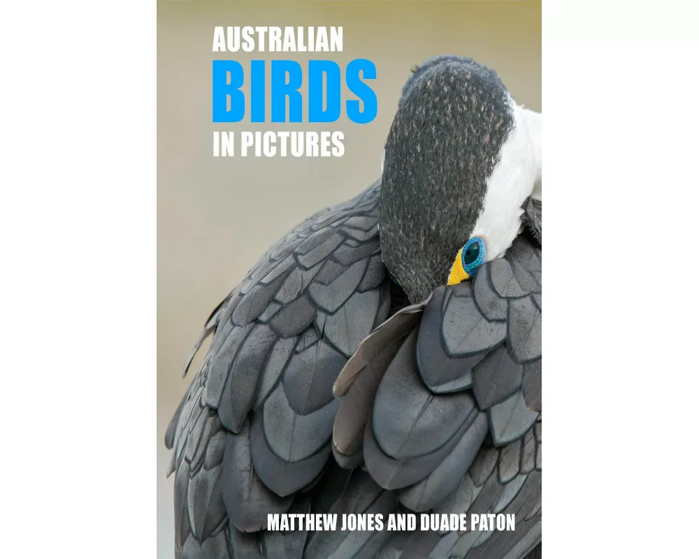 Australian Birds in Pictures