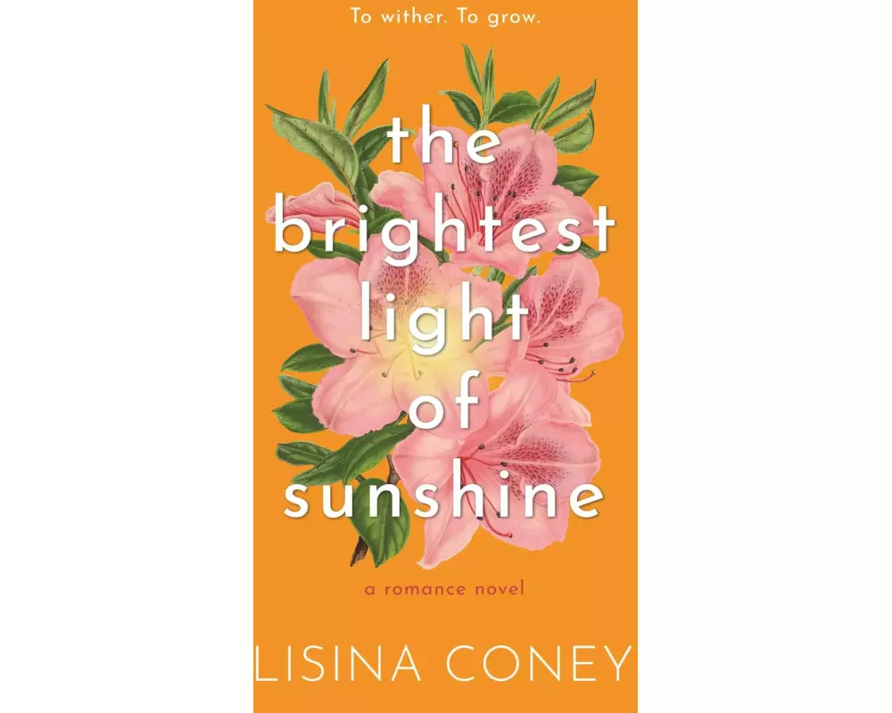 Brightest Light of Sunshine