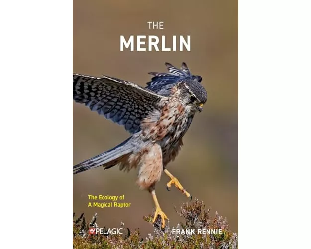 The Merlin