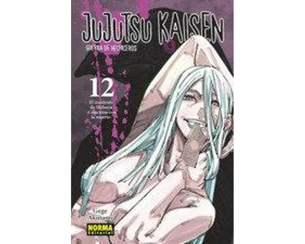 Jujutsu Kaisen 12