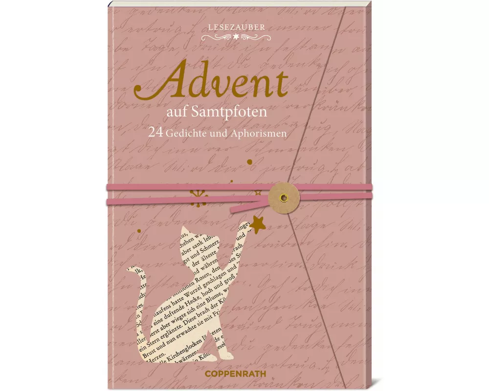 Brief-Adventskalenderbuch - Advent auf Samtpfoten