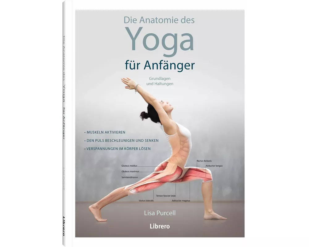 Die Anatomie des Yoga für Anfänger
