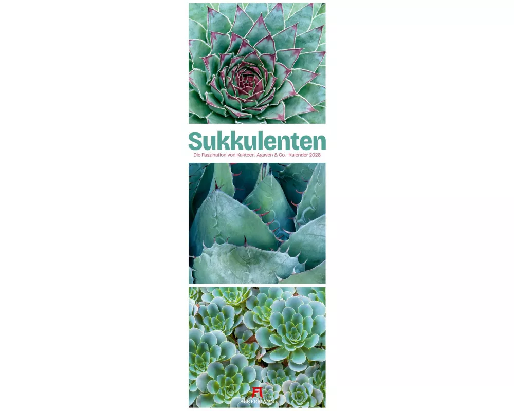 Sukkulenten Triplet-Kalender 2026 | Kakteen, Agaven & Co