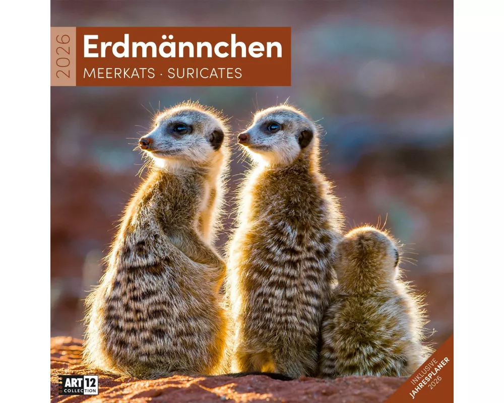 Erdmännchen Broschürenkalender 2026 - 30x30 - Art12