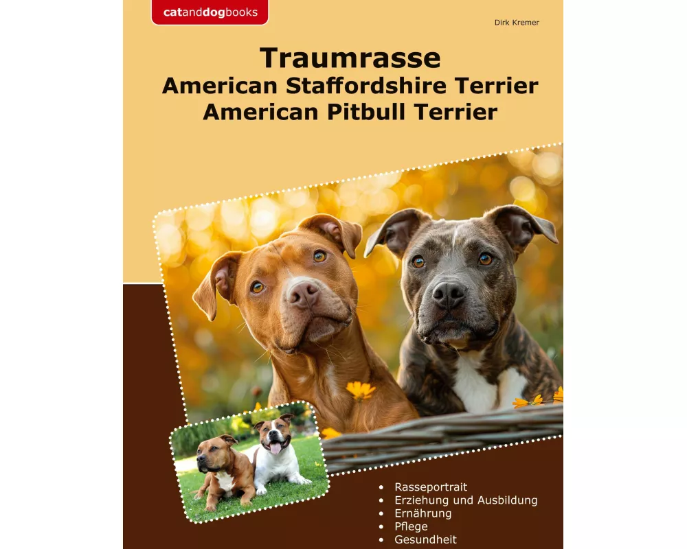 Traumrasse American Staffordshire Terrier