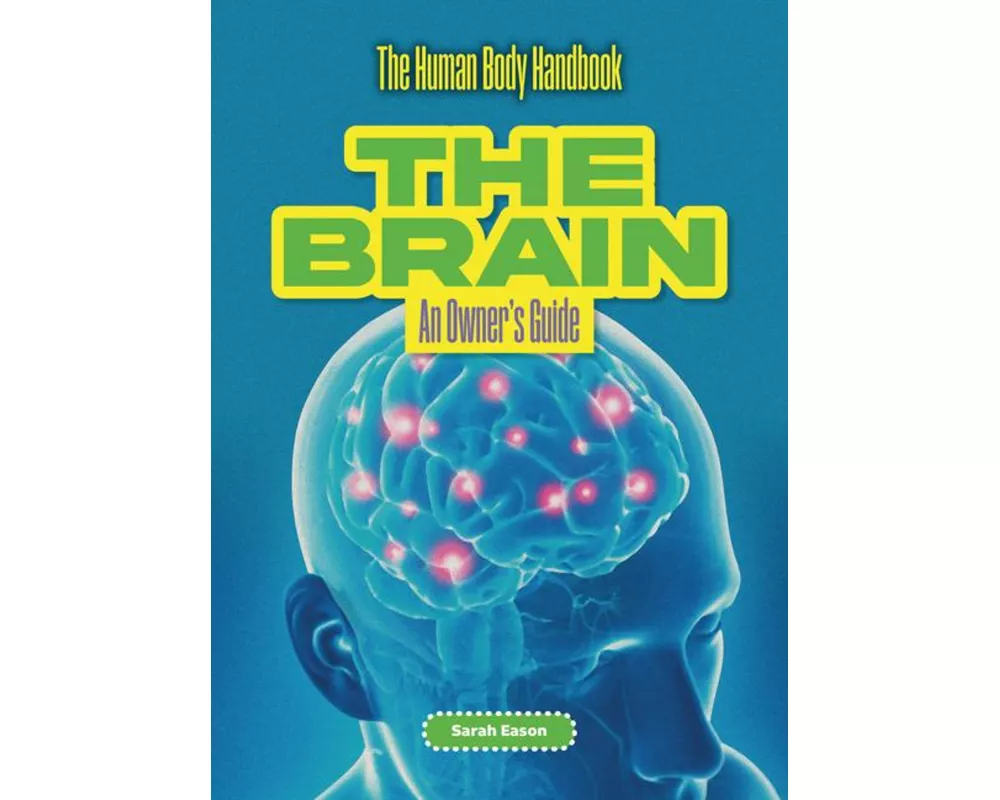 The Brain