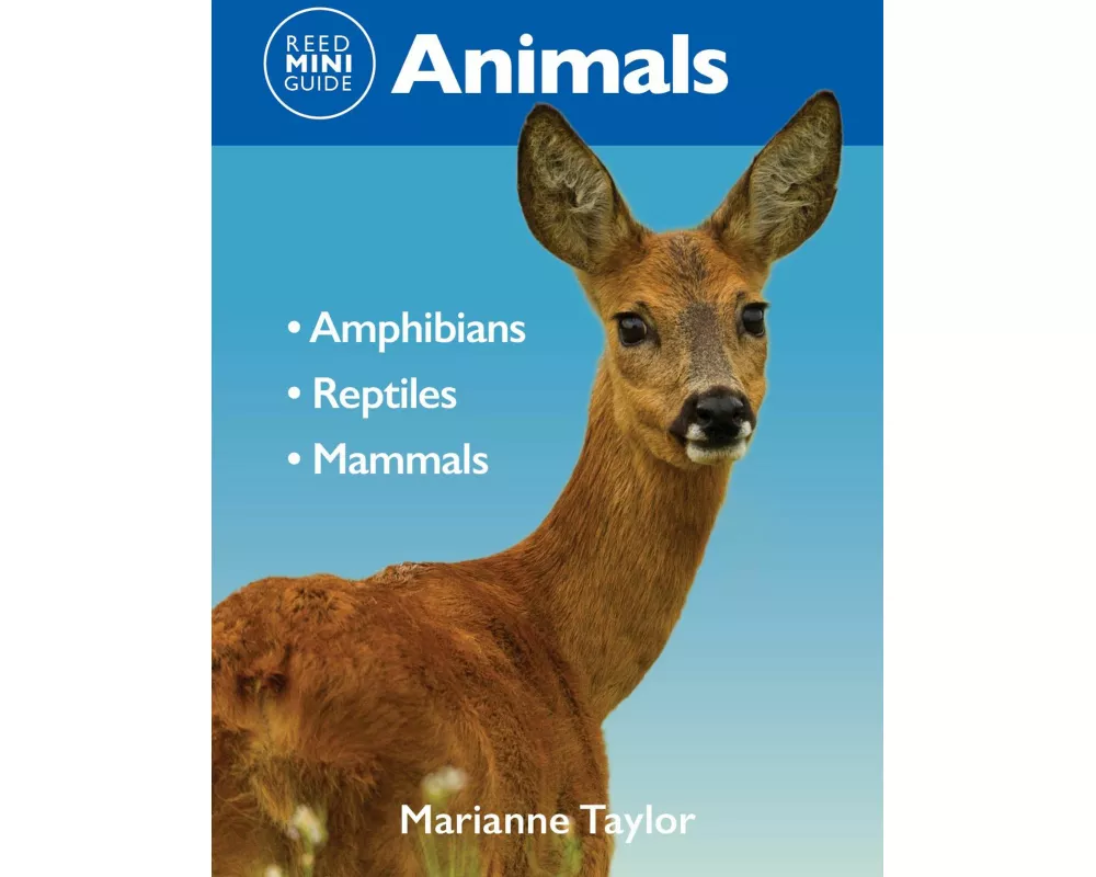 Reed Mini Guide: Animals